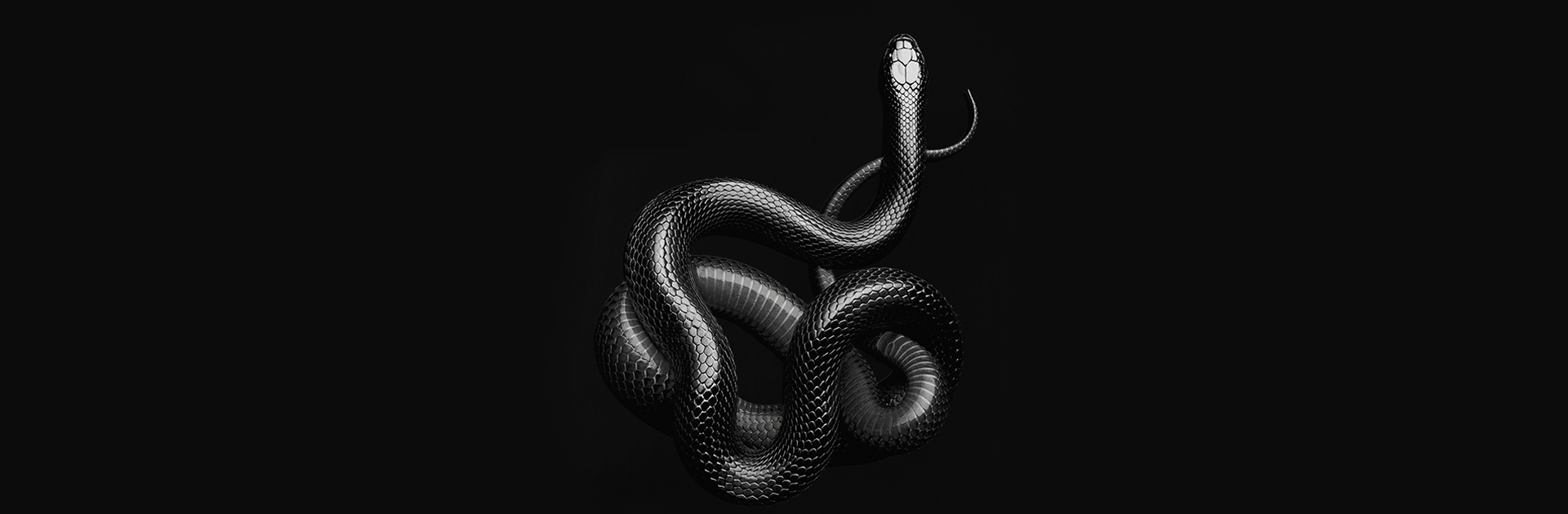 Soen