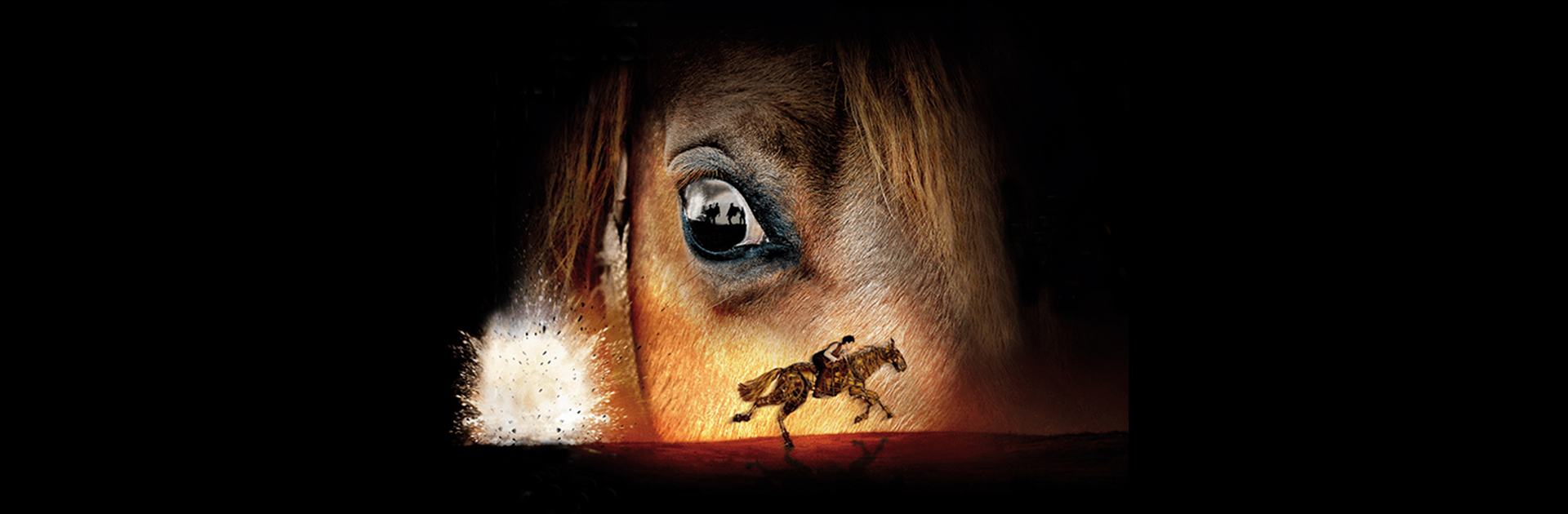 War Horse